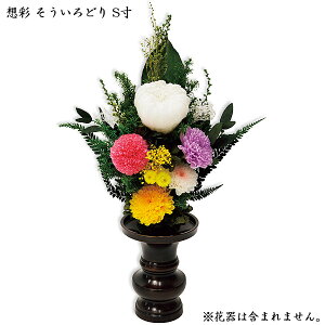 ySS!m1/2ōő100|CgobNz y 󒍐Y zy AvU[uht[z`SOU`V[Y z  (ǂ) S z   d ~ ފ