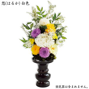 ySS!m1/2ōő100|CgobNz y 󒍐Y zy AvU[uht[z`SOU`V[Y I F z   d ~ ފ