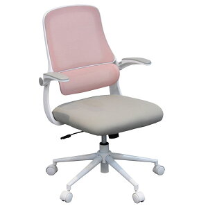 `FA ֎q CX  Vv   fXN[N c pXeJ[ ݃J[ LX^[ [ItBX`FA NC-35]