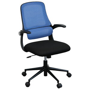 `FA ֎q CX  Vv   fXN[N XbL X^CbV LX^[ [ItBX`FA NC-30]