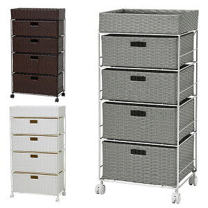 yBF!m1/2ōő100|CgobNz h[`FXg h[bN h[{bNX 60 s30  LX^[t I RAN-2416