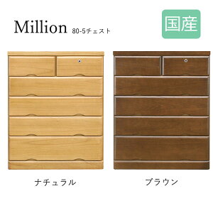 `FXg  ^X { 5i \y ߗގ[  Vv i` VbN [~I3/ 80-5 `FXg]