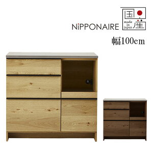 JE^[ 100 Y { [ HI Lb` EH[ibg I[N Vv  (IE2 OWL2 100JE^[) NiPPONAIRE jb|lA