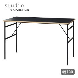 テーブル [STU-T120] リビングテーブル 食卓 長方形 北欧 シンプル 男前 かっこいい インダストリアル 黒 ブラック 幅120 [studio スタジオ]
