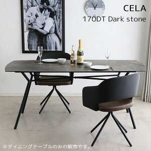 ySS!m1/2ōő100|CgobNz _CjOe[u rOe[u 170 Ζڒ Z~bNyCELA UP333 CELA 170DT DarkstonezyUP TOWNz