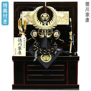 y}\!m1/2ōő100%|CgobNz Tt yʌz ܌l` [ ƍN Ԃ  |   [߂̐ߋ 5l` y791K21z y21NA512 V[