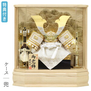 Tt×26%OFFyWiz܌l`   P[X ZpP[X L`   | 8 Ƌ ؖڒ y921G24zyʌz Ԃ  5l` [߂̐ߋ