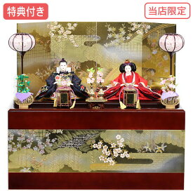 ◆特典付き 【展示現品】雛人形 ひな人形 衣裳着 コンパクト収納飾り 親王飾り RO110S71 衣裳着人形 雛 ぼんぼり おひなさま/ひなまつり/かわいい/おしゃれ/初節句/お祝い/女の子/桃の節句/ひな祭り/お雛様/映え【数量限定】