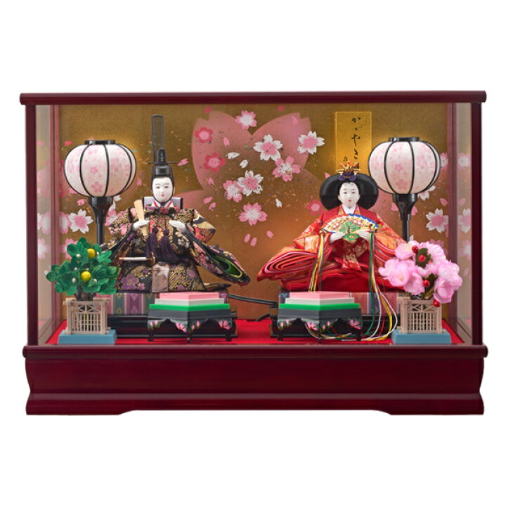 雛人形 ひな人形 おしゃれ お雛様 かわいい ひな祭り ぼんぼり オルゴール付き オルゴール内蔵 ケース飾り パープル ブラック ライト付き 桃の節句 点灯式 衣裳着 衣裳着人形 親王飾り 雪洞 雪洞点灯式 史上最も激安 衣裳着
