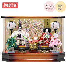 ◆特典付き 【展示現品】雛人形 ひな人形 衣裳着 ケース飾り マンション ケース入り 親王飾り 衣裳着人形 雛 おしゃれ インテリア かわいい ひな祭り お雛様/映え おひなさま 可愛い 家具調 木目調 【501S20】 【数量限定】