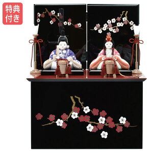 Tt yWizy|Cg10{zl` ЂȐl` ؖڍ [ e ؖڍݐl` RpNg ^   ̐ߋ ЂȍՂ l/f ubN yNo.R3-10 t