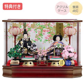 【SS限定!確率1/2で最大100％ポイントバック】 【特典付き】【展示現品】 雛人形 ひな人形 衣裳着人形 ケース飾り 親王飾り 送料無料 桃の節句 ひな祭り お雛様/映え 【811S22】 レッド ゴールド おしゃれなコンパクトケース飾り 【数量限定】