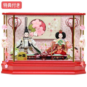 Tt×23%OFFyʌzl` ЂȐl` ߏ֒l` P[X e  ̐ߋ ЂȍՂ l/f y841S23z bh   邵t ȃRpNg