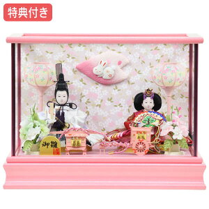 Tt×25%OFFyWizl` ЂȐl` ߏ֒l` P[X e  ̐ߋ ЂȍՂ l/f y051S23z ^   sN  ȃRpNg