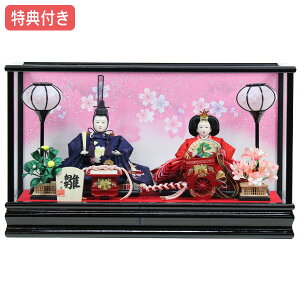 Tt×16%OFFyʌzl` ЂȐl` ߏ֒l` P[X e  ̐ߋ ЂȍՂ l/f y572S23z  ubN sN ȃP[X