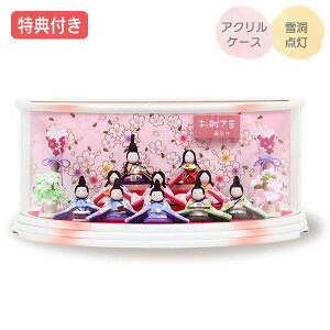 yTt×20%OFFz yʌzl` ЂȐl` ߏ֒l` P[X \l  ̐ߋ ЂȍՂ l/f y821S23z  zCg sN ߂ ȃRpNgP