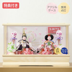 ySS!m1/2ōő100|CgobNz Tt×24%OFFyWizl` ЂȐl` ߏ֒l` ߏ֒ P[X ANP[X e l ᓴ_ Ƌ ؖڒ 