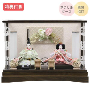 ySS!m1/2ōő100|CgobNz Tt×25%OFFyWizl` ЂȐl` ߏ֒l` ߏ֒ P[X  ANP[X e l ᓴ_ Ƌ ؖ