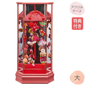 ySS!m1/2ōő100|CgobNz TtyP10×2026NxVz l` ЂȐl` ݂邵 P[X kɍ׍H ANP[X y݂邵P[X  A 213-604z