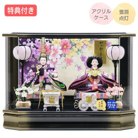 ◆特典付き×23%OFF【展示現品】 雛人形 ひな人形 衣裳着人形 衣裳着 ケース飾り アクリルケース 親王飾り 二人飾り 雪洞点灯 モダン 黒 ブラック 送料無料 ひな祭り 映え【011S25】【数量限定】