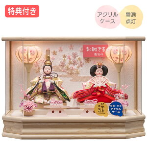 ySS!m1/2ōő100|CgobNz Tt yP10×2026NxVzl` ЂȐl` ߏ֒l` ߏ֒ P[X ANP[X e l ᓴ_ Ƌ ؖڒ 