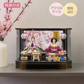◆特典付き 【P10×2026年度新作】雛人形 ひな人形 衣裳着人形 衣裳着 ケース飾り アクリルケース 親王飾り 二人飾り 雪洞点灯 家具調 木目調 送料無料 ひな祭り 映え【胡蝶三五親王飾 (白) 263-273】