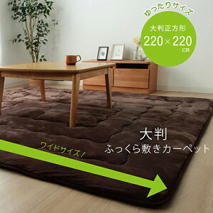 ~zc J[ybg O Pi ` LO h y唻h[N ~z220×220  Vv  ӂ C