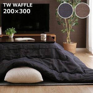 zc |zcPi |zc ` 200×300 (TWbt NV/BR)e[uKTCYF90×135`150TCY 