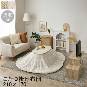 |JUF950 |R^czcPi  tlzc Vv  킢 炩 ȉ~`p 210×170 RpNgɎ[\ 