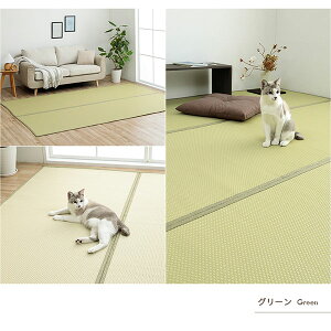 |vsJ[ybg BR/GY/GN ]ˊ6 ϋv  EHbVu 􂦂 ۃXv[OK o[Vu y~[Tz