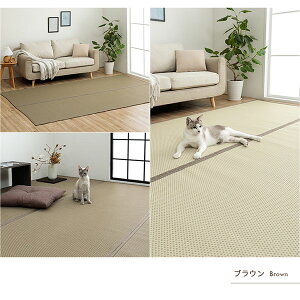 ySS!m1/2ōő100|CgobNz |vsJ[ybg BR/GY/GN ]ˊ6 ϋv  EHbVu 􂦂 ۃXv[OK o[Vu y~[Tz