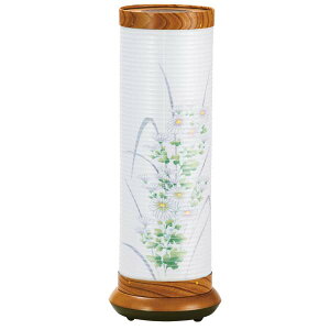 ~ ~ CeAs n 򕌒 ~傤 ] ~  V~  _ (2473  ₫ 570 e) ~pi ~p ~ _ 