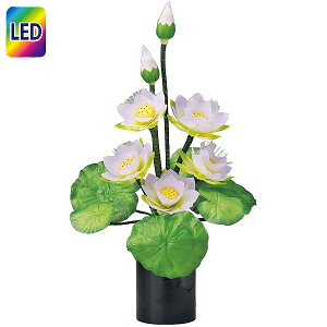 ~ @ؓ ~ ~iX CeAs LED ~傤  (23830 Oh~iXSTD [W nX) @̉ ~pi ~p u ~ V~ ~  _ ԓ