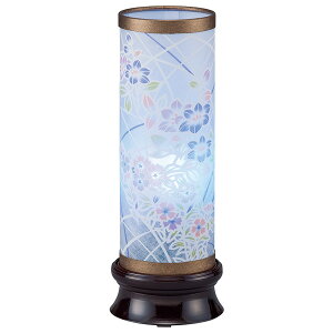 ~ LED ~pi ~p dCR[h ~ ~ CeAs n V~ ~ _ [t2(S)] 