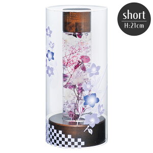 ~ ns ₷炬̓3(j[) short  vU[uht[ LEDCg ~傤 ~pi dr R[hX V~ ~ Y