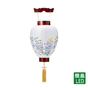 ~ ݂艺 yʏ 5310z ~傤 ~ V~ CeA