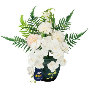 y}\!m1/2ōő100%|CgobNz ~ ~iX ~傤 ~ CeA  ~ _     y~iX Áz