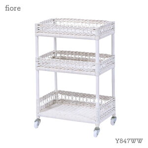 [fiore h[ Y847WW] Tj^[ bN [  ^ Eߏ ʏ Lb`S TChS K[[ Pn t`Jg[ 킢  y