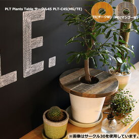 プランツテーブル 【 PLT Plants Table サークル45 PLT-C45(MG/TE) 】 プランツテーブル デッドスペース解消 サイドテーブル ディスプレイ棚