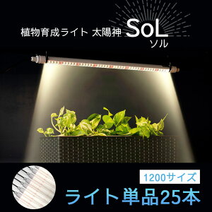 A琬Cg z_SoL\ /^C}[/ ^C}[Ȃ / 100V LED ^C}[ ledCg A琬LED ϗtA琬Cg pL|fBE