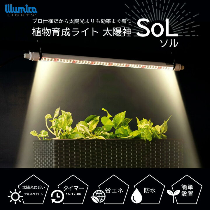 楽天市場】植物育成ライト 太陽神SoLソル | タイマーあり /タイマー 