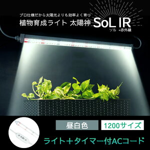 �yNEW�z�i�������A���琬���C�g ���z�_SoL IR�\���A�C�A�[�� �o�[���C�g�^�C�v �A�����C�g