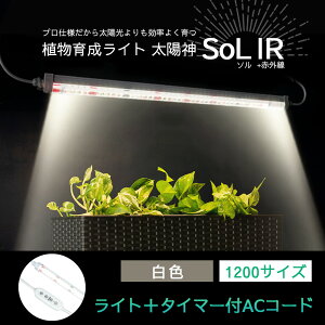 �yNEW�z�i�������A���琬���C�g ���z�_SoL IR�\���A�C�A�[�� �o�[���C�g�^�C�v �A�����C�g