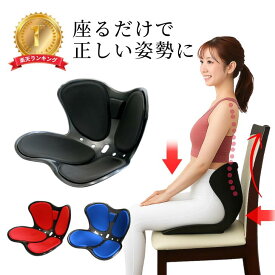 楽天1位 骨盤矯正 椅子 姿勢矯正 クッション グッズ 座椅子 オフィス スタイル チェア 姿勢ケアシート 骨盤 ゆがみ 姿勢が良くなる 骨盤底筋 立てる トレーニング デスクワーク 姿勢 サポート シート 腰痛 猫背 デスクワーク 腰痛対策 運転
