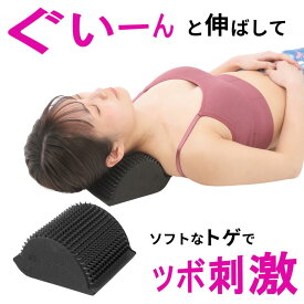 首 マッサージ ネックマッサージ ストレートネック 枕 ハリネズミ 首枕 ストレッチピロー 頚椎枕 偏頭痛 首まくら ストレッチ 牽引 首こり スマホ首 解消 頚椎 矯正 安定 ツボ押し 自律神経 健康 体調 ネックピロー 安眠枕 整体枕 矯正 巻き肩 ギフト プレゼント