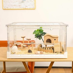 RuexuenX^[P[W&bgAybgp̊SŃGRth[ȑ^ANP[WAႦ:qQgJQAlY~AnlY~AJIACOAiȂ70.5x43.5x39cc