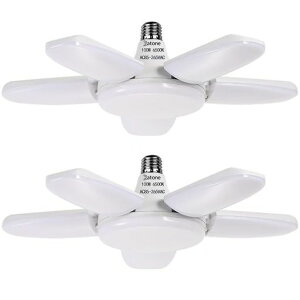 BatoneK[WCg100WƓ6F6500K10000LMVƖtȒPHsvpx߉\ȃGlHpCgPxԌɑqɔ[ˍƓF(2)