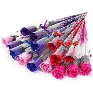 \[vt[ԑ1փoԃt[\[v͂ȂԑƏja̓̓hV̓JXjސEjʉv[glCԃv[gMtg