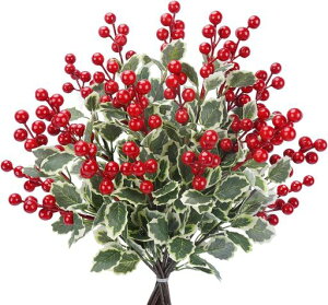 siawadekyNX}XԐԃx[10{ZbgtFCNx[qCM̉ʎA[gt[~O[蕵͋CAbv{CeAԃNX}Xc[֏VNjc