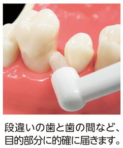 GrXȌvtBbcK10^tgӂ3Fg